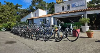 Location de vélos - Total Station Service