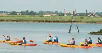Les Détours sur l'eau : Dans l'intimité des marais - Kayak & Nature en Seudre