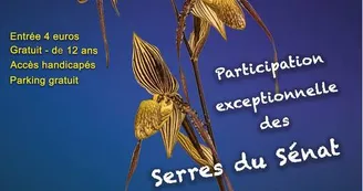 6ème Exposition Internationale Orchidée 17
