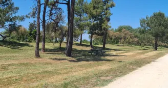 Aire de pique nique - Route du Douhet