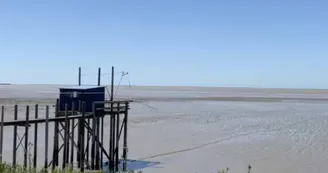 Location de vélos Tandems Pino inclusif - Toog Tandem Travels