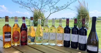 Aire de stationnement de camping-car