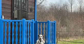 Les Roulottes des Amis de Wonky