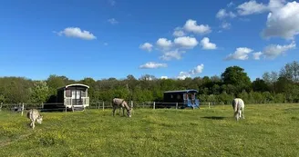 Les Roulottes des Amis de Wonky