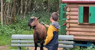 Les Roulottes des Amis de Wonky