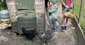 Les Roulottes des Amis de Wonky