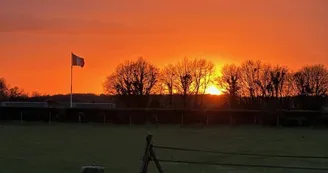 Les Roulottes des Amis de Wonky