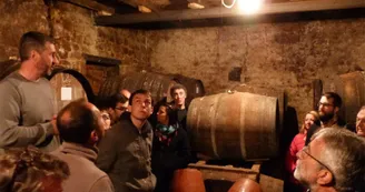 vignoble Chauraud et fils