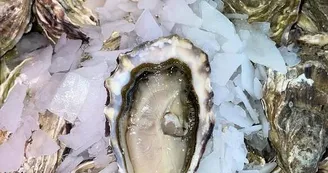 Bar à huîtres Peponnet