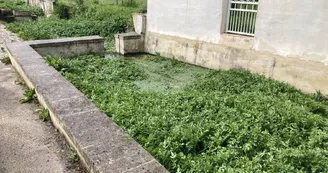 Lavoir de la Prise