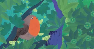 Exposition - Observons les oiseaux