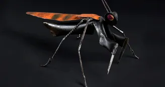 L'expo du Comptoir - Laurent JOUBEAUX