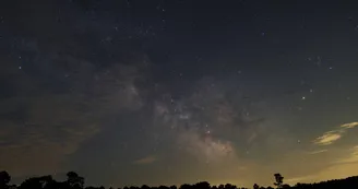 Les Stars de la Nuit