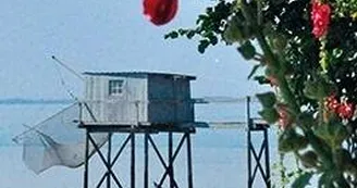 Exposition - Hélène Grier