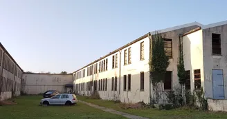 VS Park