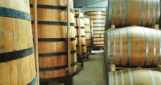 Vignoble Maxime PINARD