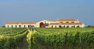 Vignoble Maxime PINARD