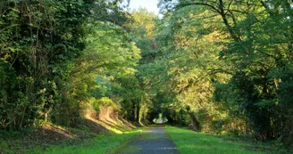 La forêt de la Double Saintongeaise La forêt de la Double Saintongeaise