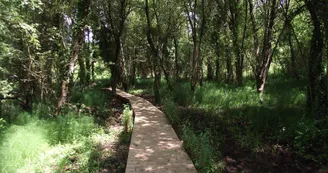 Montguyon,  village de pierres & d'eau