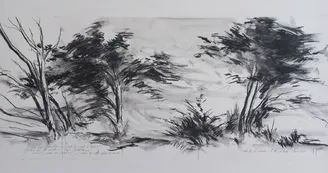 Exposition  Les livres des rives - Yves Jousse