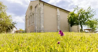 Randonnée avec des ânes et visite de la Chapelle des Templiers Randonnée avec des ânes et visite de la Chapelle des Templiers