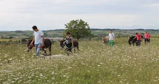 Randonnée avec des ânes et visite de la Chapelle des Templiers Randonnée avec des ânes et visite de la Chapelle des Templiers