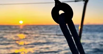 Skip & Sea