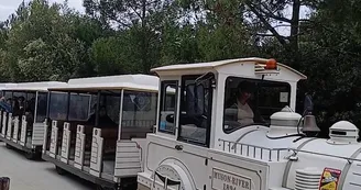 Le petit train des plages de Boyardville