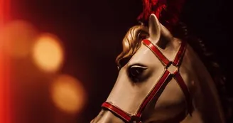 Circus Royan