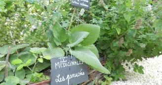 Jardin médiéval de la Sagesse - Amis de Jonzac Jardin médiéval de la Sagesse - Amis de Jonzac