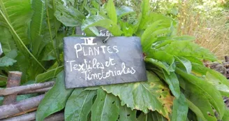 Jardin médiéval de la Sagesse - Amis de Jonzac Jardin médiéval de la Sagesse - Amis de Jonzac