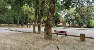 Aire de pique-nique du lac