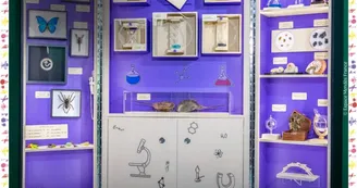 Exposition - Le petit laboratoire de Mme Lupin Exposition - Le petit laboratoire de Mme Lupin