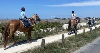 Balades à cheval
