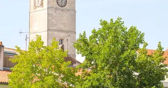 Journée Européenne du patrimoine : Tour des signaux