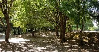 Piste de roller et terrain de bicross du Lac de Frace