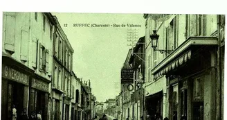 Exposition