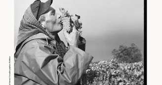 Robert Doisneau et Rémy Martin : Regard sur le cognac