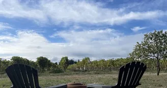 Dôme de Cognac