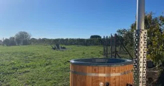 Dôme de Cognac
