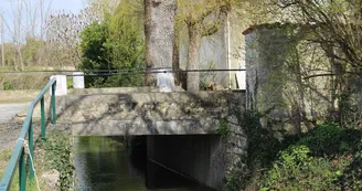 Pont sur le Mignon