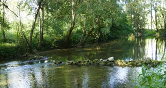 Balzac-bras de la Charente