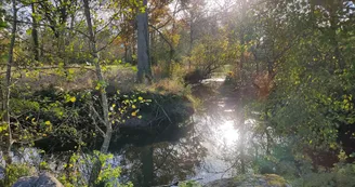 Le long de la Dronne