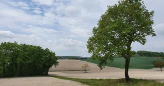 En chemin
