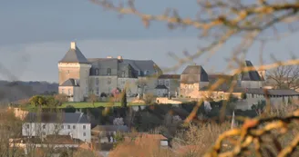 Vue sur le château de Chalais