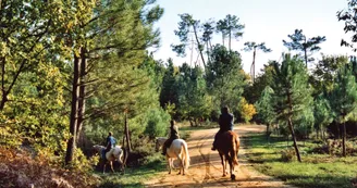 troncon Route Cardinaux Pays de Haute-Saintonge randonnee equestre d Artagnan