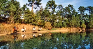 troncon Route Cardinaux Pays de Haute-Saintonge randonnee equestre d Artagnan 2