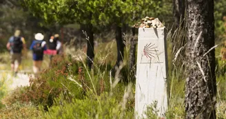 Sur le Chemin de Saint-Jacques-de-Compostelle