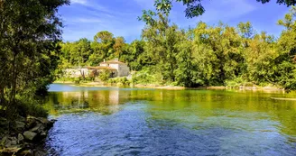 Moulin - Saint-Groux