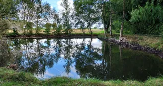 Etang le Bouchet - Lupsault